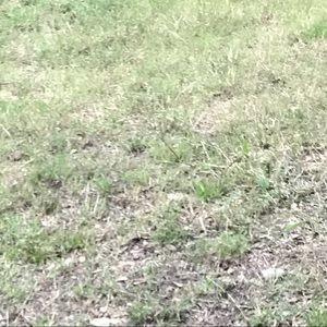 Meet your Posher, Alan